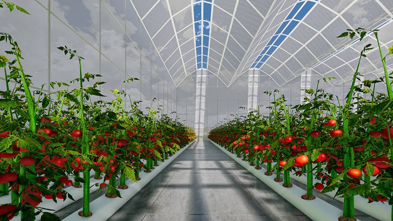 Gallant Venture and Obayashi to build tropical greenhouse in Indonesia